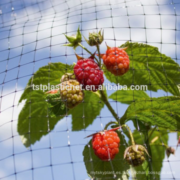 Red extruida cuadrada de protección contra aves agrícolas